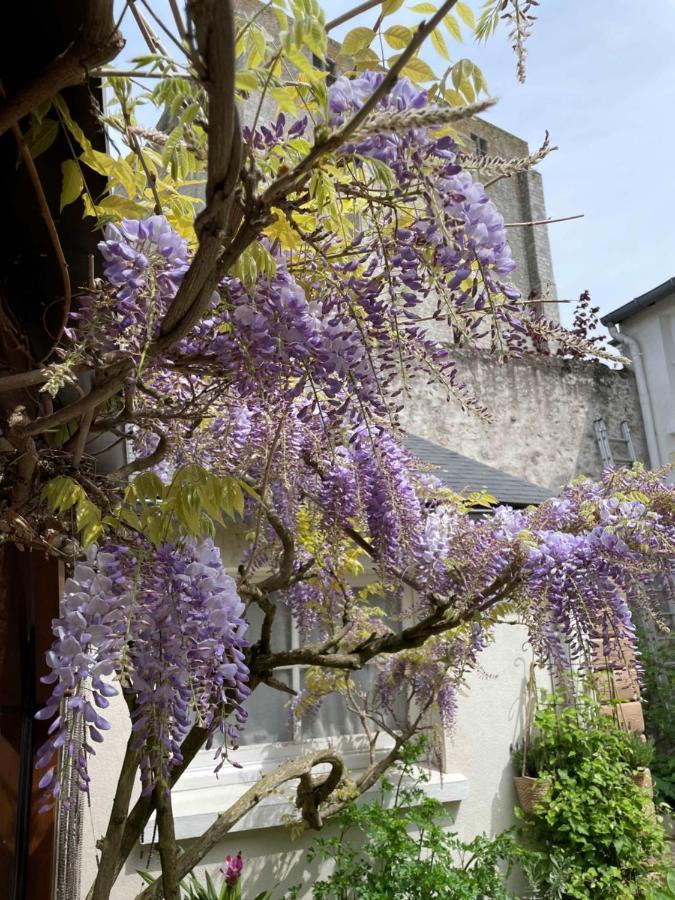 Hotel De La Sologne Beaugency Esterno foto